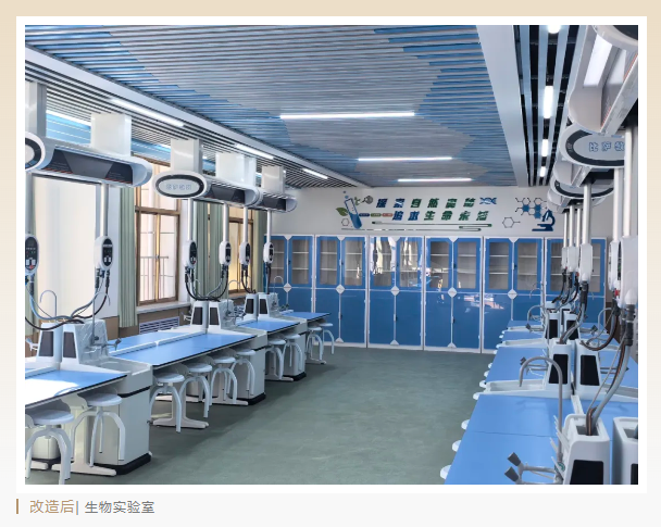 00150bed-e499-4ee7-9c8a-68c621dd8fe7.png